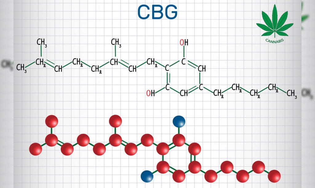 What Is CBG And How Does It Combat Antibiotic Resistance?